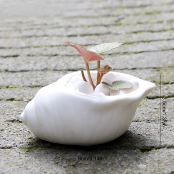 6 kusov Stredomoria shell conch kvetináč váza biela morský živočích socha šťavnaté kvetináče, keramické domov svadobný dar 54620